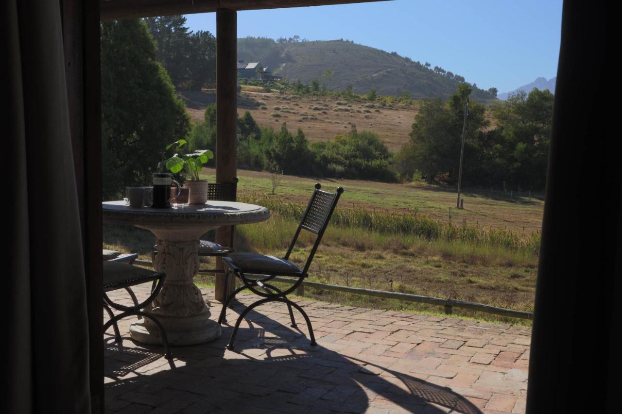 סטלנבוש Zebra Cottage And Lodge מראה חיצוני תמונה